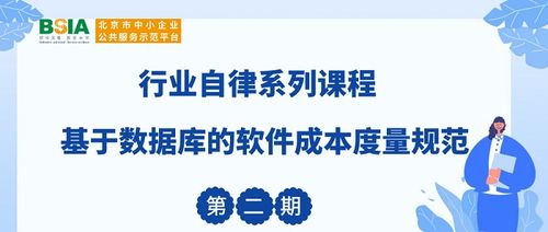 基于数据库的软件成本度量规范