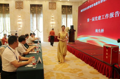 湖北省企业管理咨询服务协会换届会议圆满举行 程鹏当选为会长